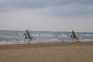 Xtrallusion offers characteristic Bed and Breakfast, B&B, Guest House, Hotel, Albergo and Country Lodge accommodation in Italy. Plus independent self-guided Walking, Adventure, Activity, Skiing and Paragliding Holiday itineraries on the Italian Rivieras, in the Italian Lakes, in the Italian Alps and in some of the most beautiful corners of Italy.